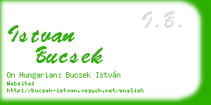 istvan bucsek business card