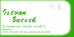 istvan bucsek business card